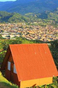 Hotel Cabañas Villa Loe Jardín