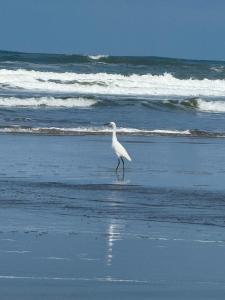 Apartamento à beira-mar Ilha Comprida