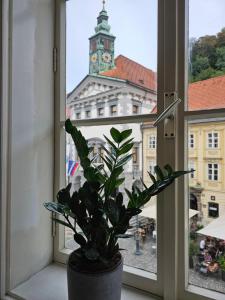 Historic Townhouse Apartment Tina by City Hall