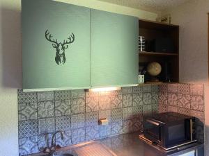 STUDIO 4 OU 6 personnes pieds des pistes et remontées mécaniques