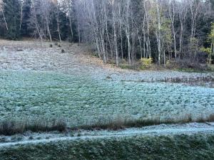 Résidence LES AVRIERES HAUT - Studio pour 5 Personnes MAE-8911