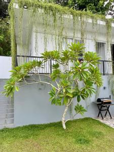 The Bunkyard Galle Hostel