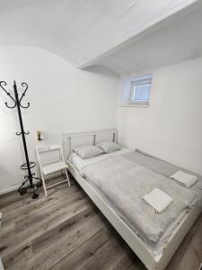 VV way - Lisica zvitorepka