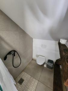 VV way - Lisica zvitorepka 