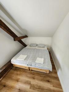 VV way - Lisica zvitorepka 