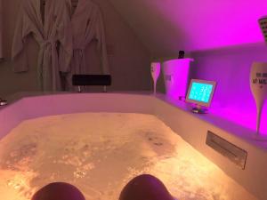 De Elysium 4-persoons met bubbelbad binnen én buiten hotspring bad, sauna, sunshower, stadstuin, wifi