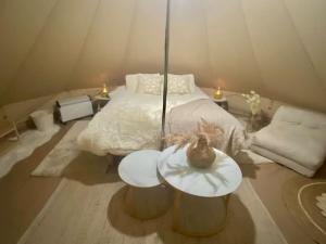 Tinaja, río y bosque en Conguillío