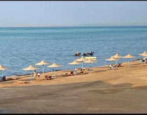 شقه على البحر مباشره