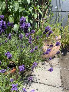 Epic Location, Views & Large Private Terrace