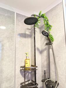 Kileleshwa- Classy Aircon 2Br with Gym &Pool