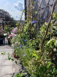 Epic Location, Views & Large Private Terrace