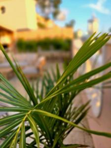 Villa Mirador del Atlantico With Heated Pool