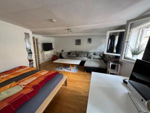 Light flat in Goettingen