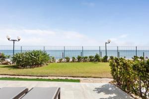 The loving hummingbird