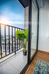 BSR Modern Spacious New Flat in Miraflores w Pool