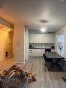 Hverfisgata central apartments