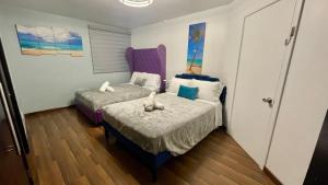 Luxurious & Modern House