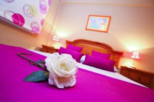 Carlos V Planetcostadorada