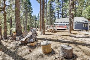 Swim, Ski and Explore Cabin in Green Valley Lake!