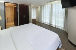 Holiday Inn Hotel & Suites Mexico Medica Sur by IHG
