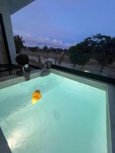 apartment in Punta Cana near beach with private balcony and pool