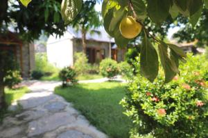 Trang An River View Homestay