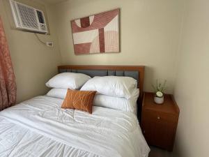 Avida Dos in Iloilo City Ayala Property Rentals by Madz