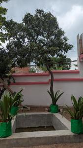 Entire Villa in Darbhanga