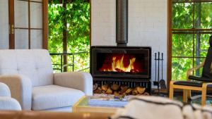 The Burrows of Penrose