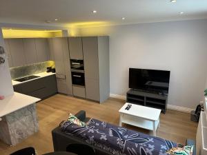 Modern 2 BR Apt in the Heart of London - Victoria Pimlico