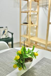 Stúdio no Centro-Lapa,Consulado, Praia, Metrô e AR! 1033