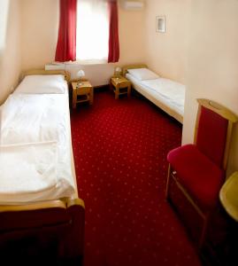 Twin Room room in Euro Panzio