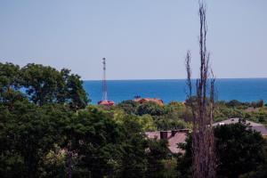 King Room with Sea View room in Zolotaya Loza Guest house