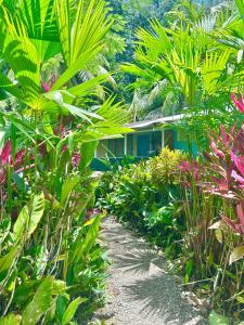 Ita Ita Casitas Playa Punta Uva