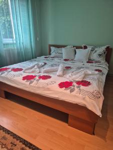 Apartament Crăciunița