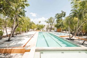 Selva Pixan Tulum Villa with Rooftop Pool