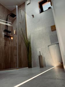 Modrzewiowe Domki przy Zalewie