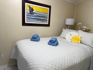 Beautiful Gulf Views of Galveston