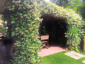Apartment with Garden View