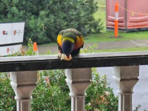 Large Private Apartment beach sunrise park views