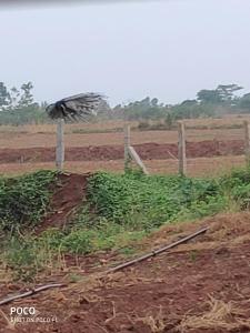 Peacock Haven Agro-eco Tourism Farm