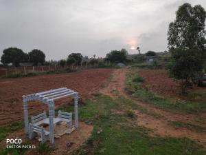Peacock Haven Agro-eco Tourism Farm