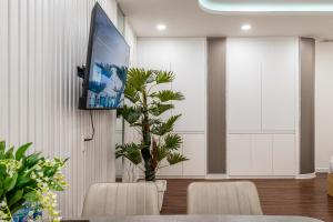 PDG A Boi Home City Centre