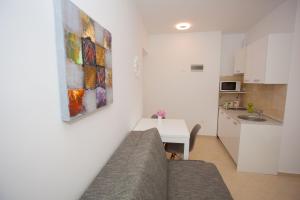 Summer Lounge Apartments