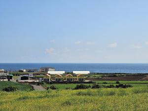 Udo Sunflower Pension