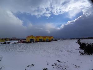 Udo Sunflower Pension