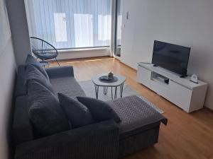 Apartment Leo