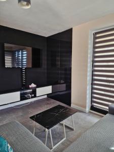 Newly Renovated Apartment! Center and Lake view!