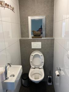 EuroParcs chalet L-Cube 4 HV36