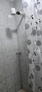 Modern Coral Bells Studio WiFi Pool Gym